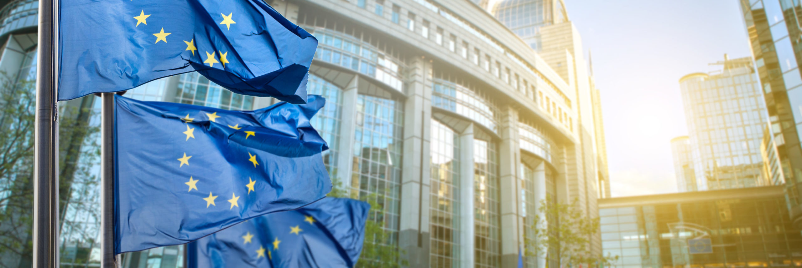 Les données sur la durabilité des entreprises sont au cœur du projet européen d’union des marchés de capitaux.