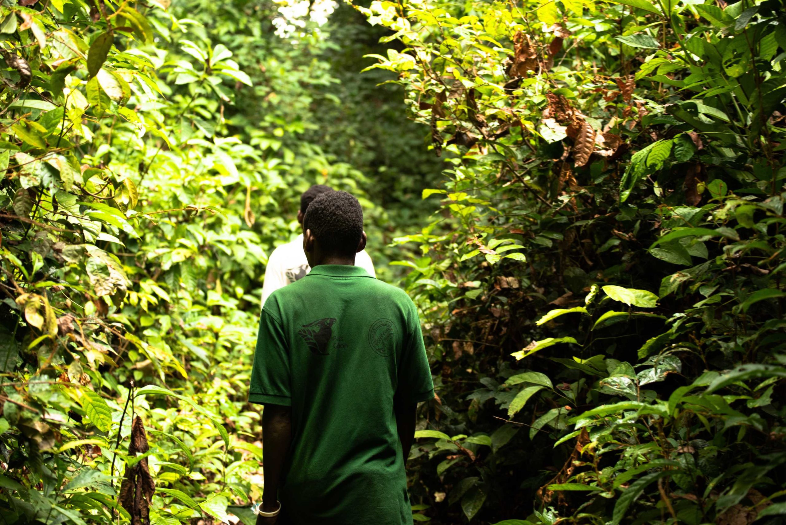 One Forest Summit Gabon
